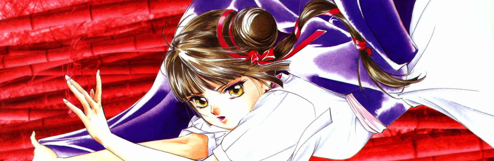 Banner Vampire Princess Miyu
